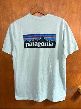 Patagonia Men's Light Blue Logo Back T-Shirt Tee Medium Gorpcore Hiking Active
